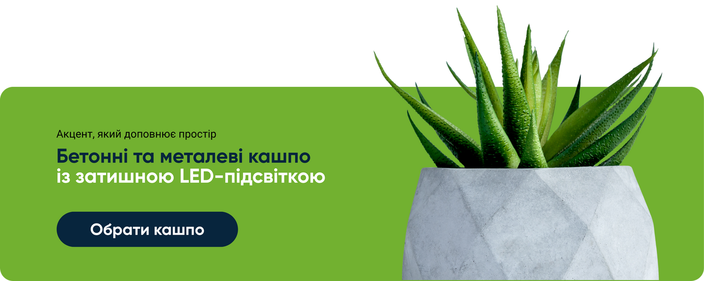 Banner from design